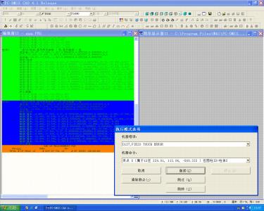probe2.GIF