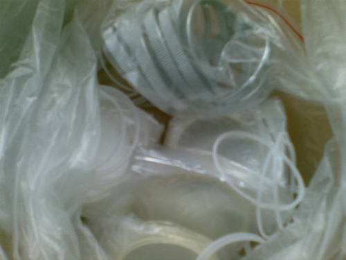 20110803(008).jpg