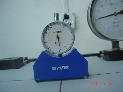 DSC06275.JPG