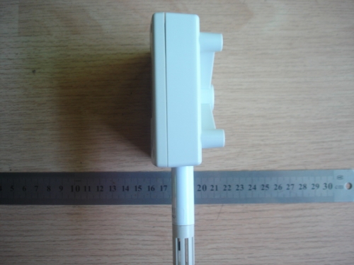 YGM413-2.JPG