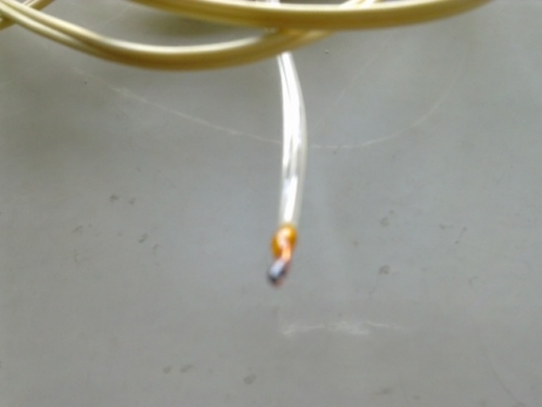 20101231105.jpg