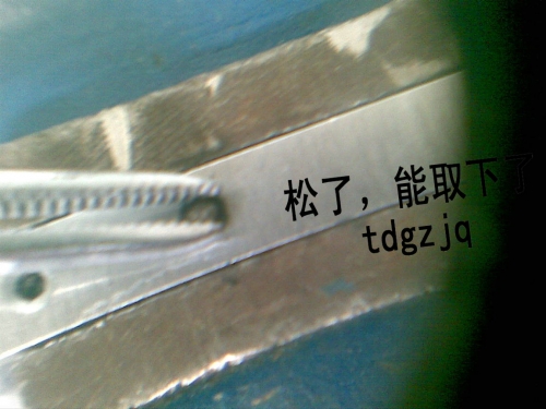 松了.jpg