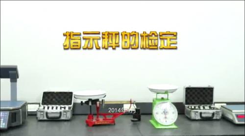 指示秤的检定.png