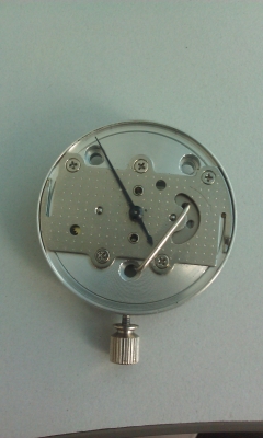 IMAG0040.jpg