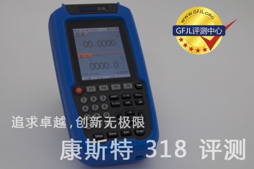 过程校验仪318