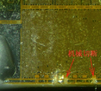 DSC_4826sp.jpg